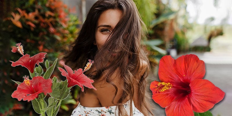 Hibiscus For Hair: What Is It? What Are The Benefits?