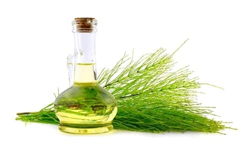 What is horsetail oil?