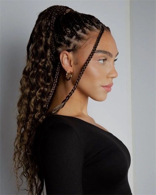 hairstyles braids ponytails