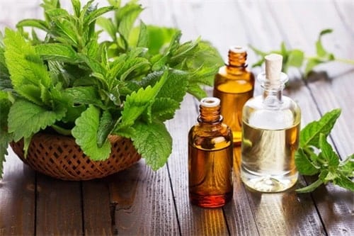 What is peppermint oil?