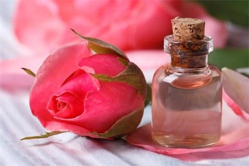 What is rose water?