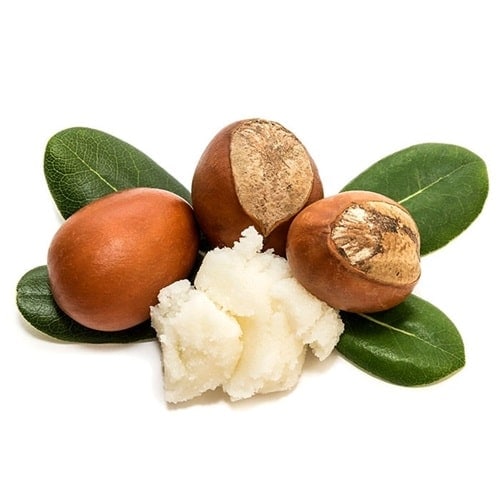 What is shea butter?