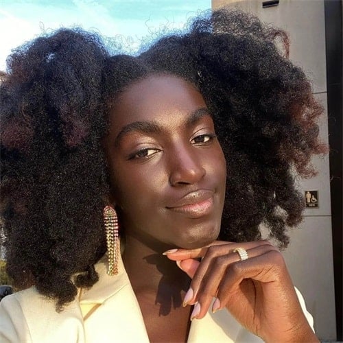 How to buy the best shea butter for hair?