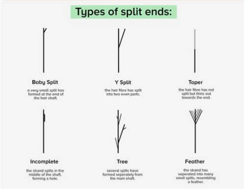 split ends types